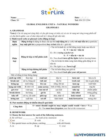 Viet teacher-S8-Week 20-U6-Gram 1