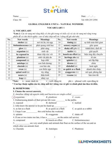 Foreign teacher-S8-Week 20-U6-Vocab 1