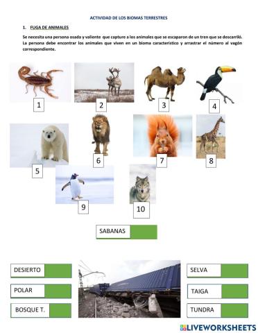 Actividad Refuerzo Biomas del Mundo