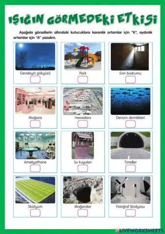 Işığın Görmedeki Etkisi-2