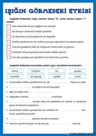 Işığın Görmedeki Etkisi-3