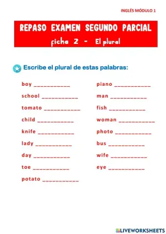 Ficha 2 plurales
