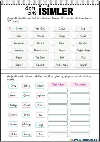 Özel İsimler Cins İsimler