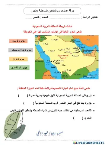 ورقة عمل درس المناطق الساحلية والجزر الصف الخامس