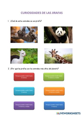 Curiosidades de las jirafas