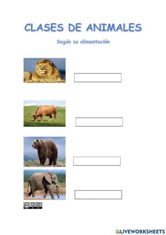 Clases de animales