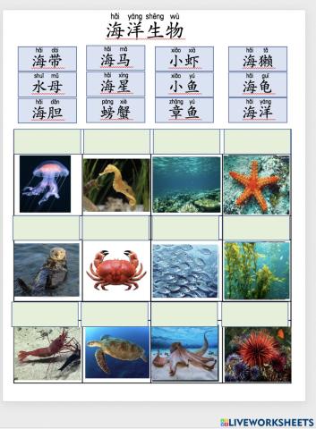 海洋生物