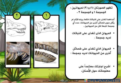 ورقة عمل تفاعلية (2)