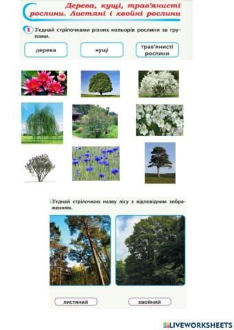 Види рослин