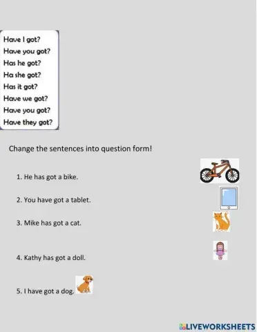 Have got and has got question form