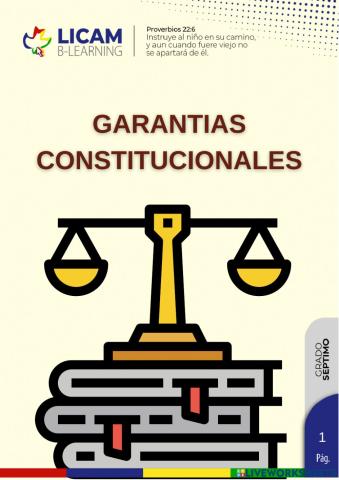 Garantías constitucionales.