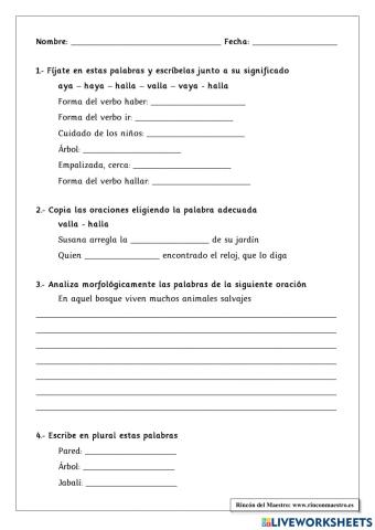 Ortografía -5°y 6°