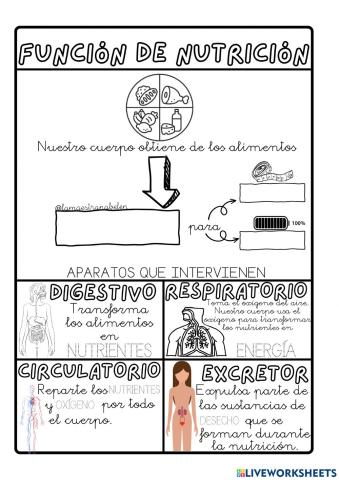 Función de nutrición