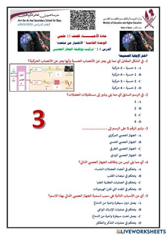 اختياري 3 الجهاز العصبي