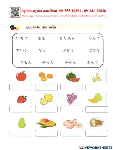 ลากวางผลไม้ให้ตรงรูปภาพภาษาญี่ปุ่น