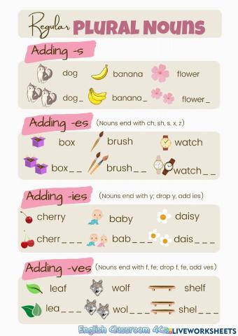 Regular and irregular plurals