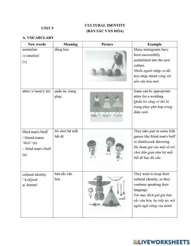 Unit5:CULTURAL IDENTITY(5.1)