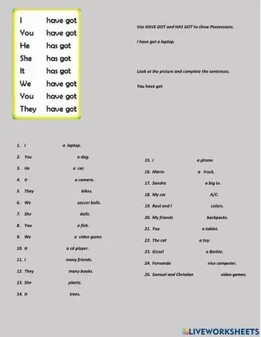 Have got has got grammar