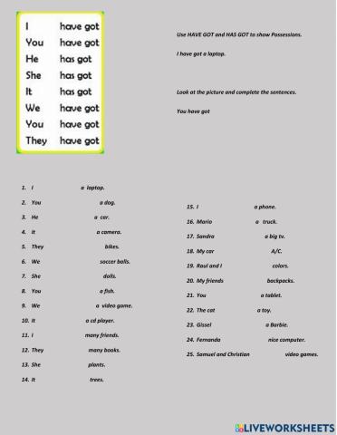 Have got has got grammar