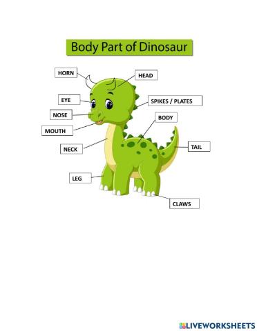Body part of dinosaur