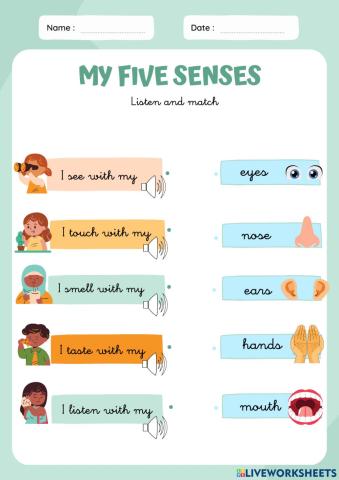 My 5 senses
