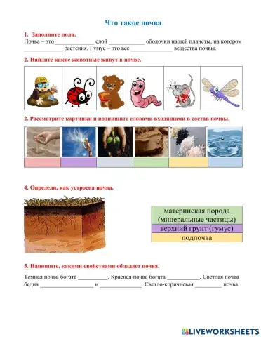 Что такое почва