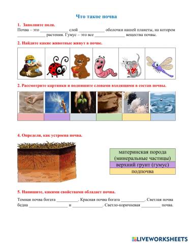 Что такое почва