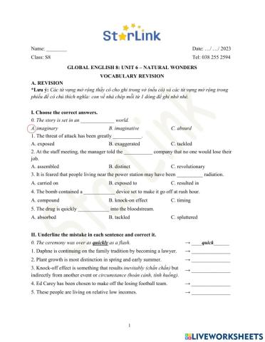 Foreign teacher-S8-Week 22-U6-Vocab Revision