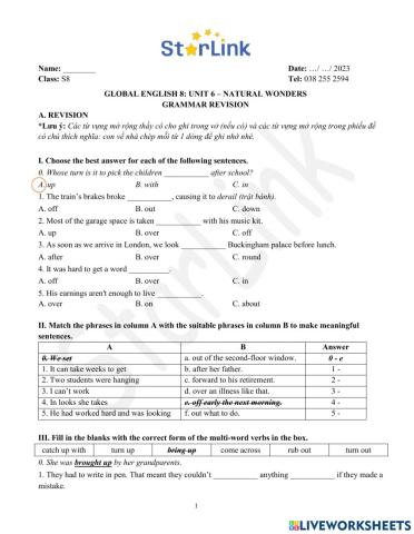 Viet teacher-S8-Week 22-U6-Grammar Revision