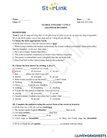 Viet teacher-S7-WEEK22-U6-GRAM REVISION