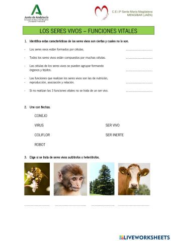 Las funciones vitales I