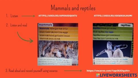 Mammals and reptiles