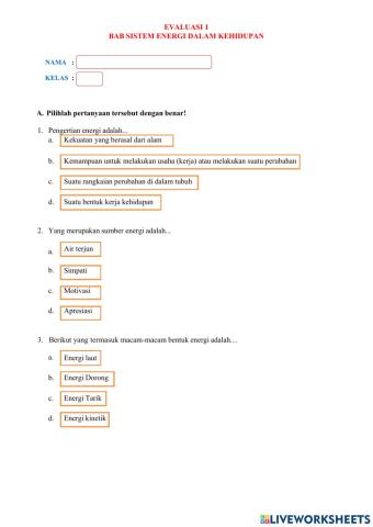 Energi dalam sistem kehidupan
