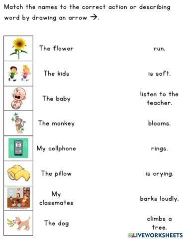 Match to Make a Sentence