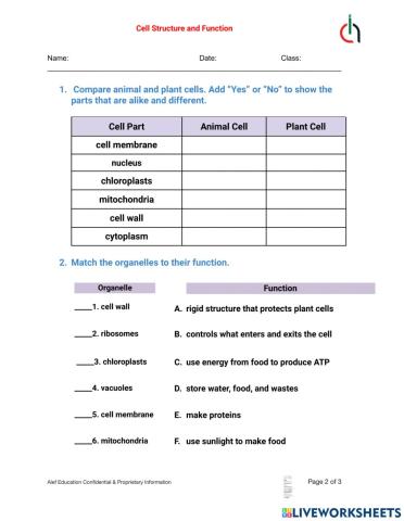 Cell Structure and Functions