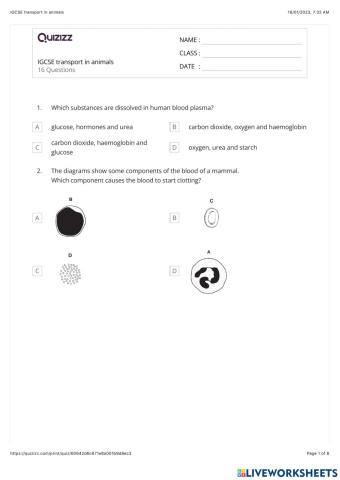 IGESE Transport in animals