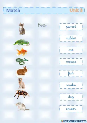 Match. Popular pets and colours vocabulary