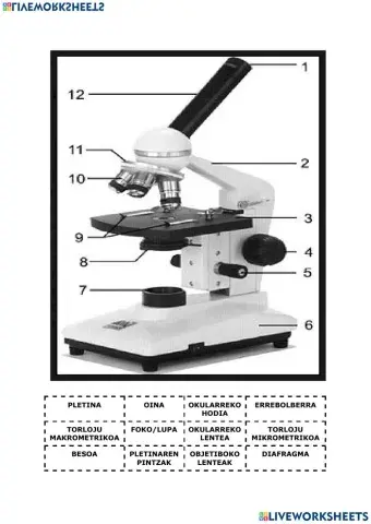 Mikroskopioaren atalak