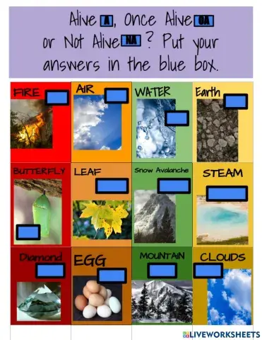 Alive, Once Alive or Not Alive?