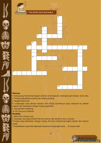 TTS 1 ( Otot dan rangka)