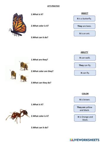 Kids enero - clase 4