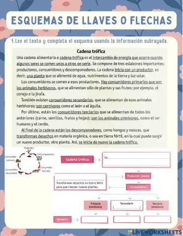 Esquemas para organizar información
