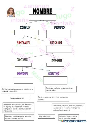 Clasificaión de los nombres