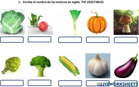 Verduras en inglés