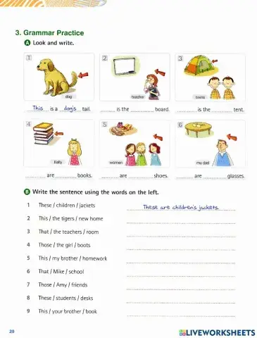 Demonstrative & possesives