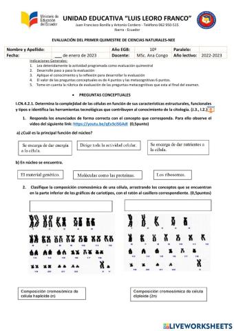 Examen de i quimestre ccnn