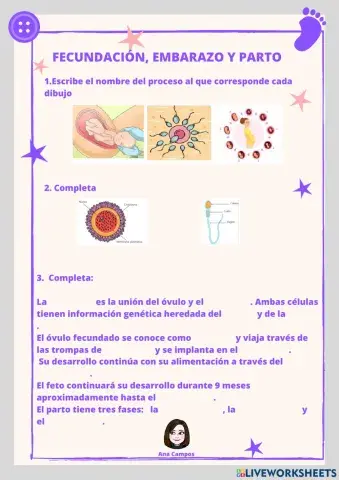 Fecundación, embarazo y parto