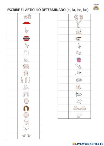 Artículos y las partes del cuerpo