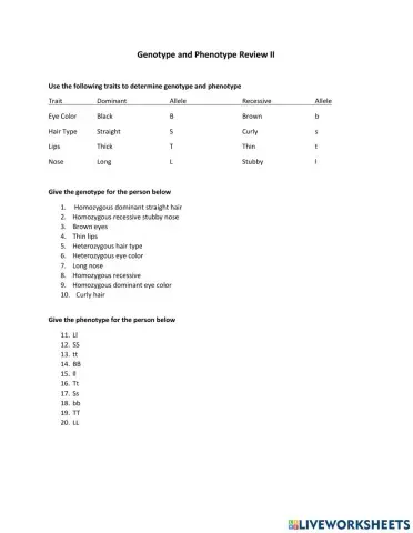 Genotype and Phenotype