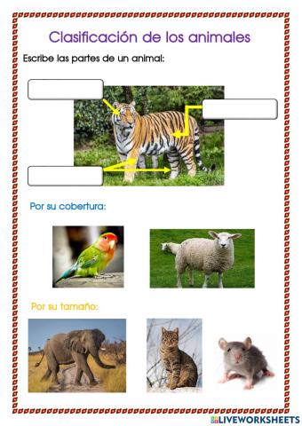 Clasificación de los animales